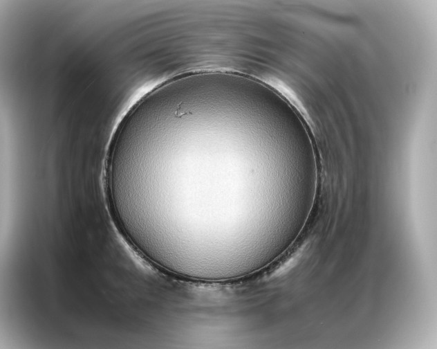 X0000086940901200704301135