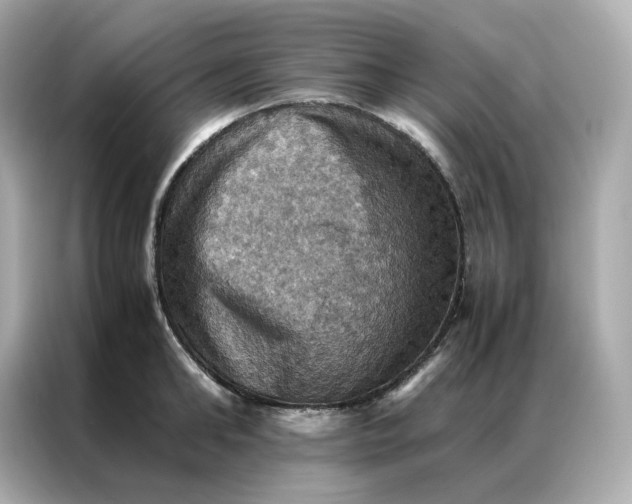 X0000086940902200704301135
