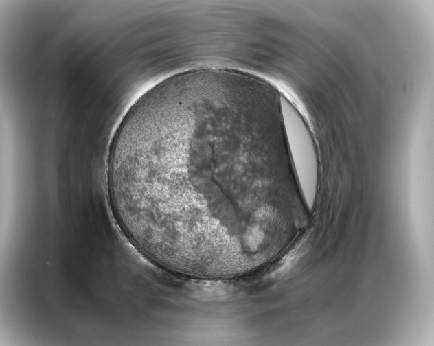 X0000086940903200704301135
