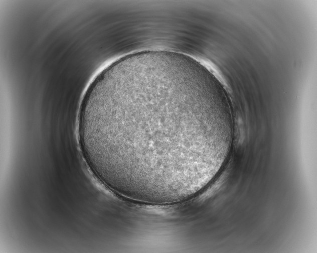 X0000086940904200704301135