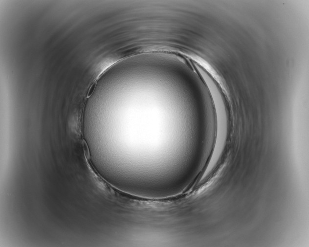 X0000086940905200704301135