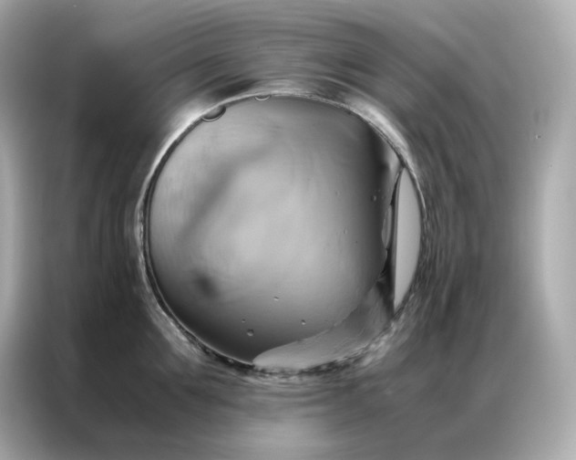 X0000086940907200704301135
