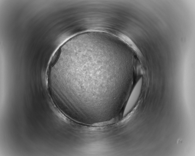 X0000086940908200704301135