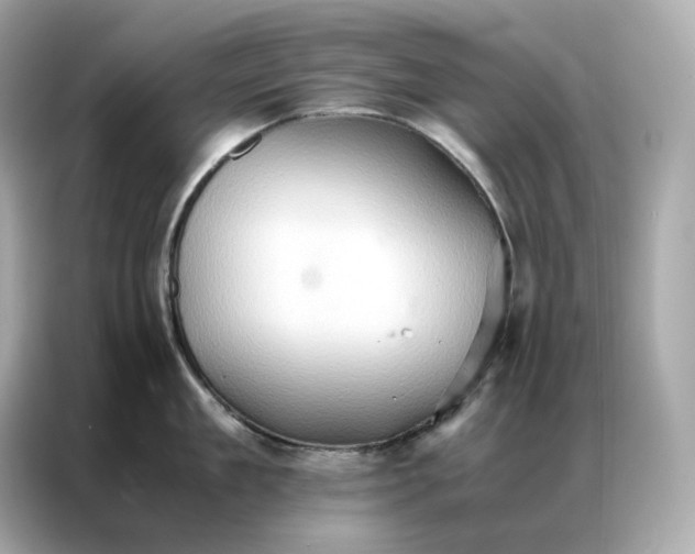 X0000086940909200704301135