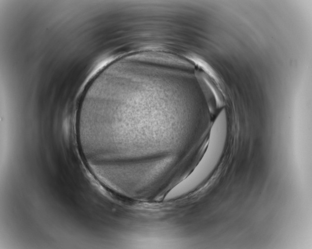 X0000086940910200704301134