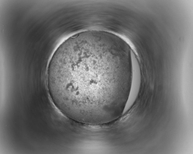 X0000086940911200704301134