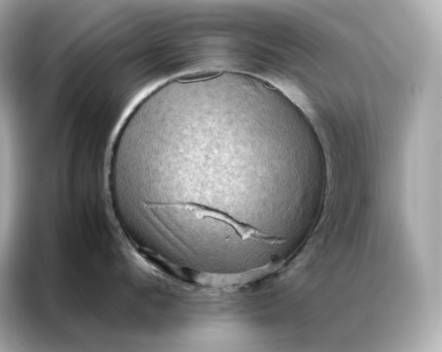 X0000086940912200704301134