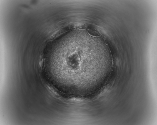 X0000086940914200704301134