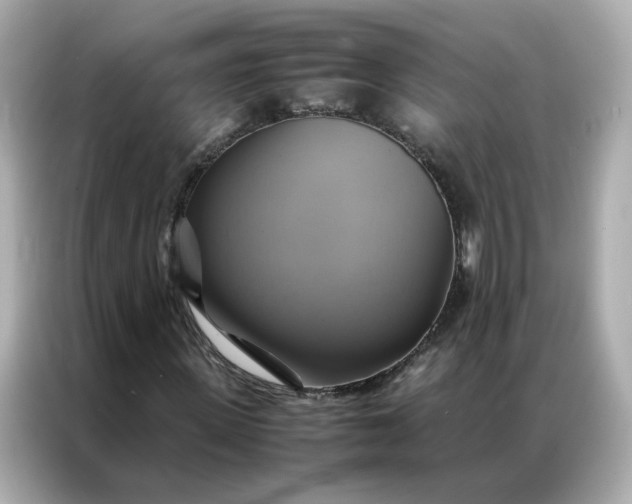 X0000086940915200704301134