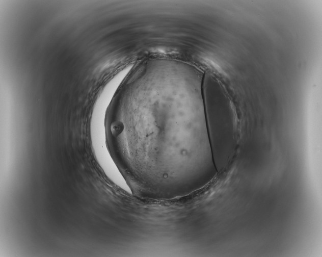 X0000086940917200704301134