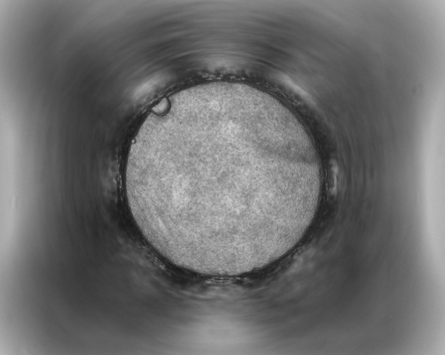 X0000086940918200704301134