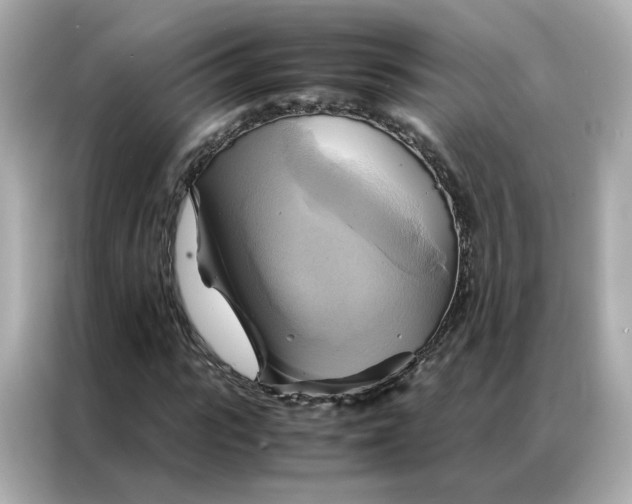 X0000086940919200704301134