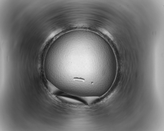 X0000086940922200704301134