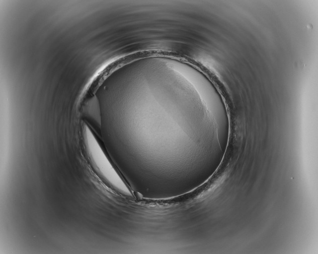 X0000086940923200704301134