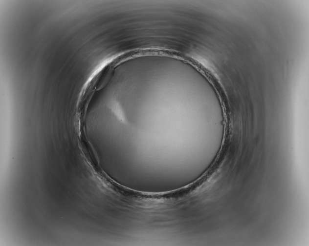 X0000086940925200704301134
