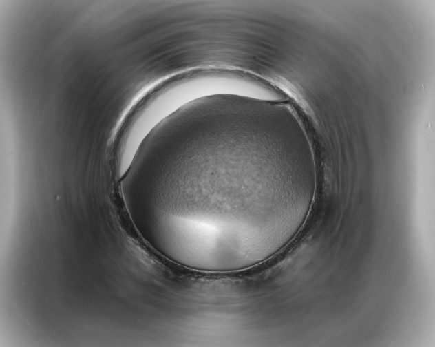 X0000086940926200704301134