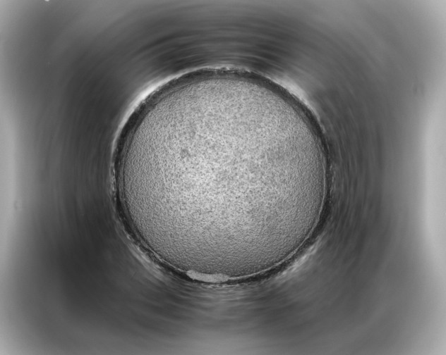 X0000086940927200704301134