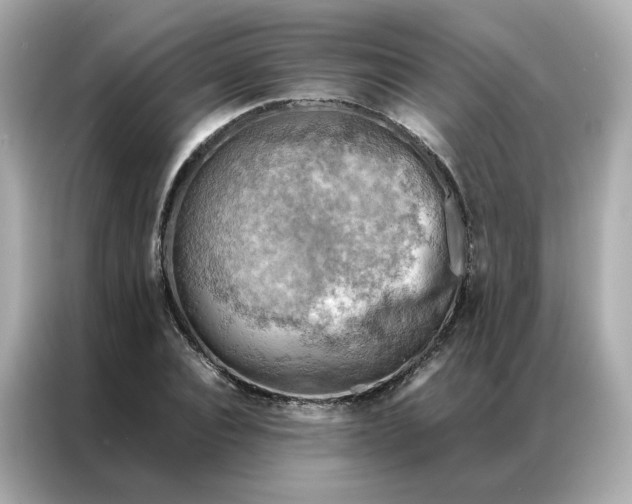 X0000086940928200704301134