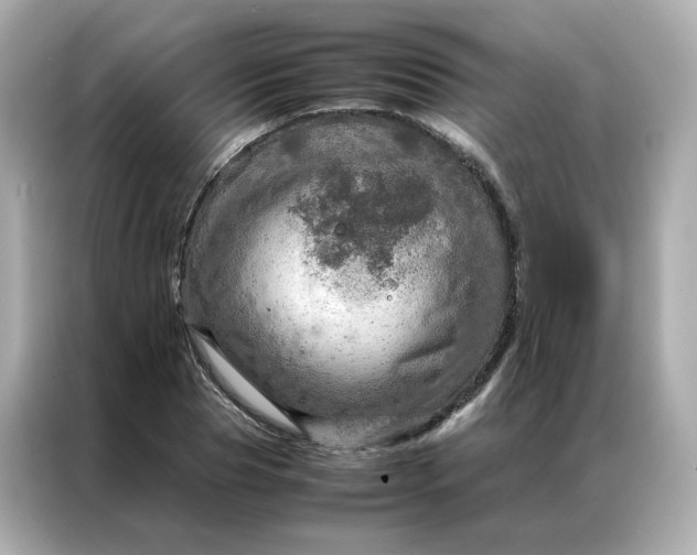 X0000086940929200704301134