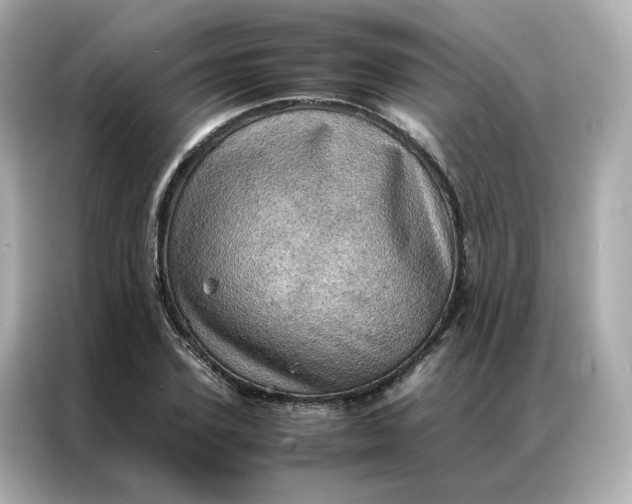 X0000086940931200704301134