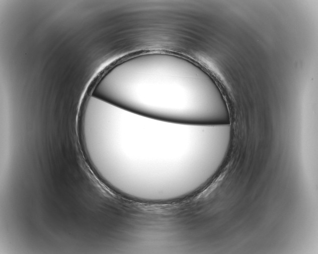 X0000086940932200704301134