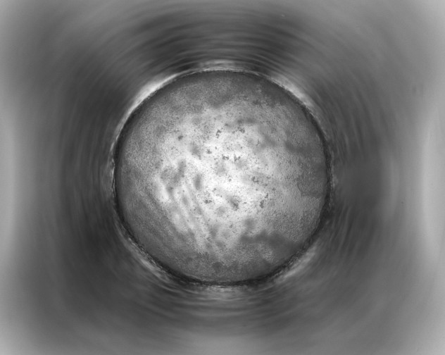 X0000086940933200704301134