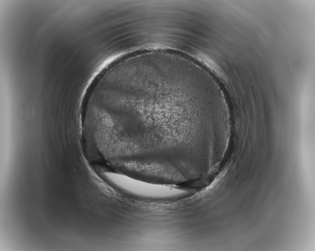 X0000086940934200704301134