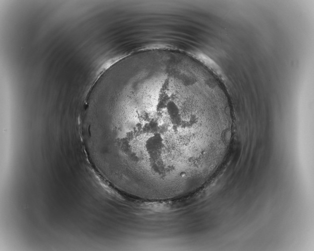 X0000086940937200704301134