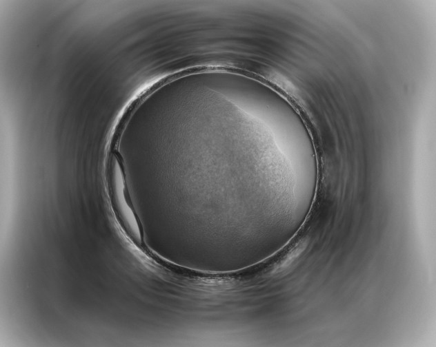 X0000086940939200704301134