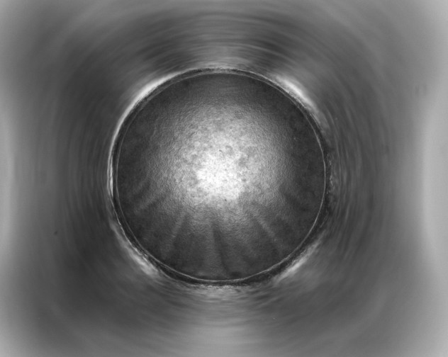 X0000086940940200704301134