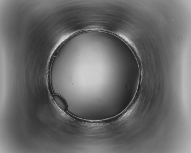 X0000086940941200704301134