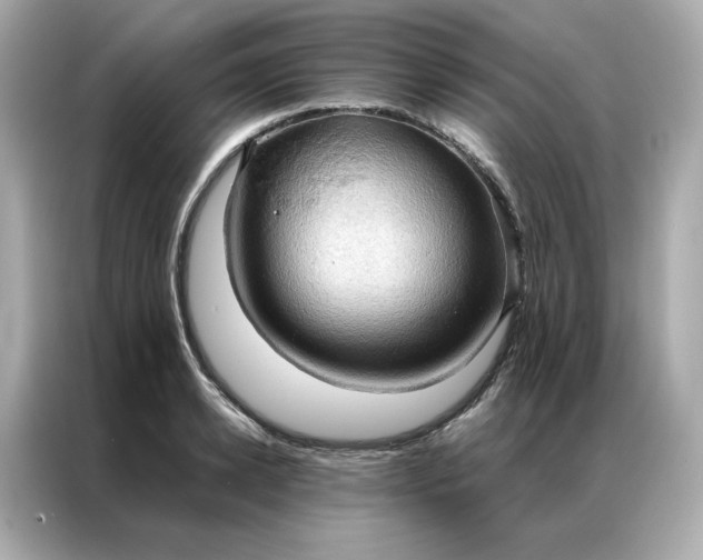 X0000086940942200704301134