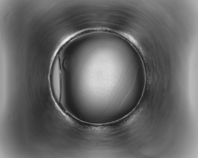 X0000086940943200704301134