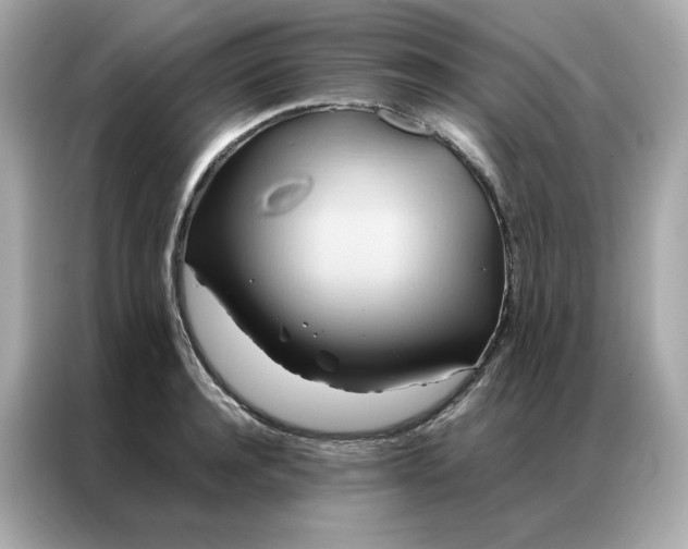 X0000086940944200704301134
