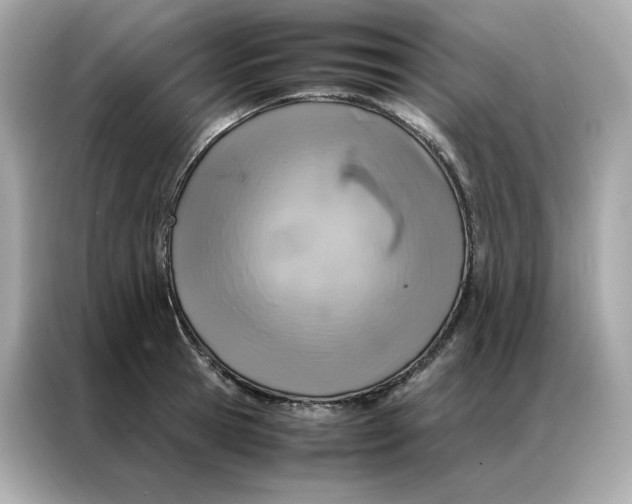 X0000086940945200704301134