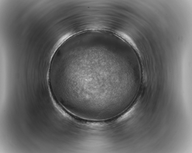 X0000086940946200704301134