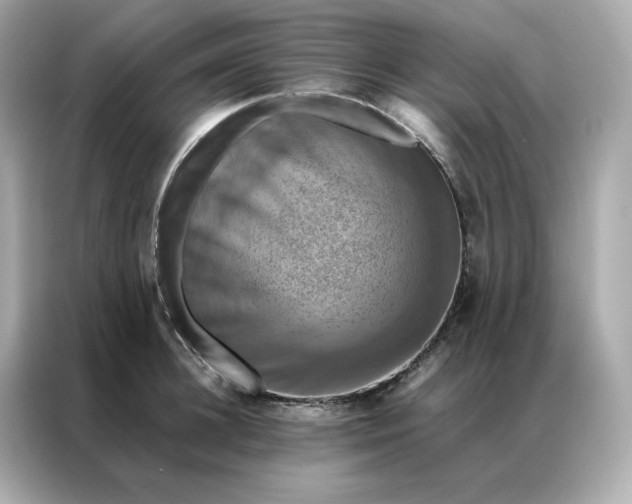 X0000086940948200704301134