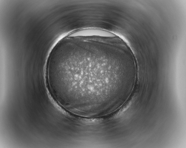 X0000086940949200704301134