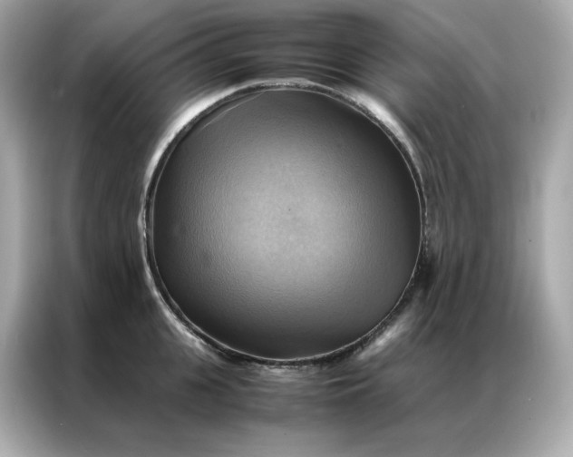 X0000086940951200704301134
