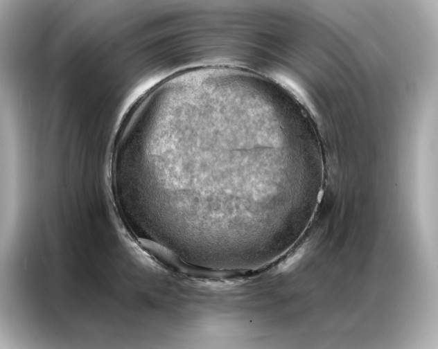 X0000086940952200704301134