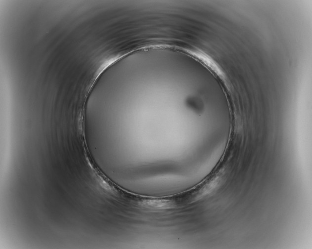 X0000086940953200704301134