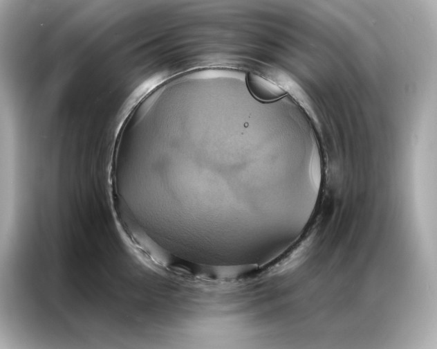 X0000086940954200704301134