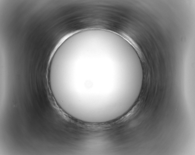 X0000086940956200704301134