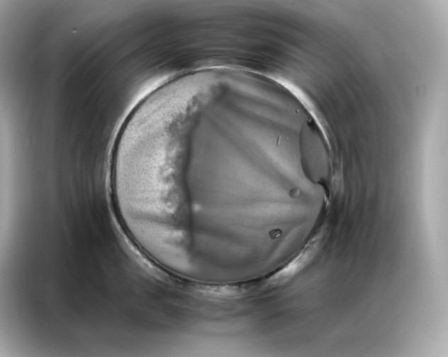 X0000086940957200704301134