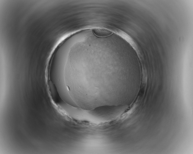 X0000086940958200704301134