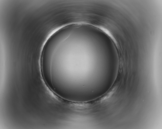 X0000086940959200704301134