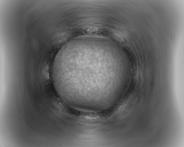 X0000086940962200704301134