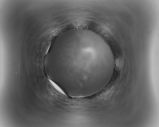 X0000086940963200704301134