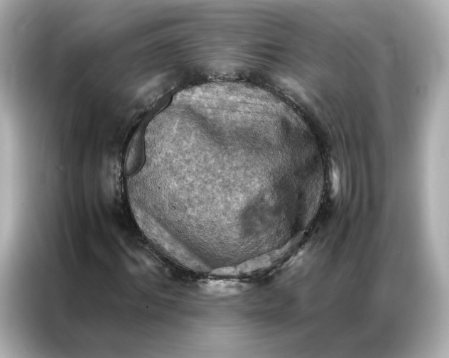 X0000086940964200704301134