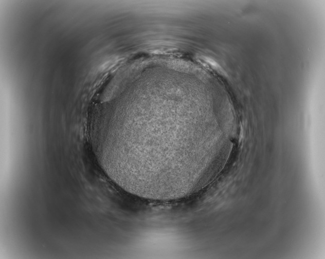 X0000086940965200704301134